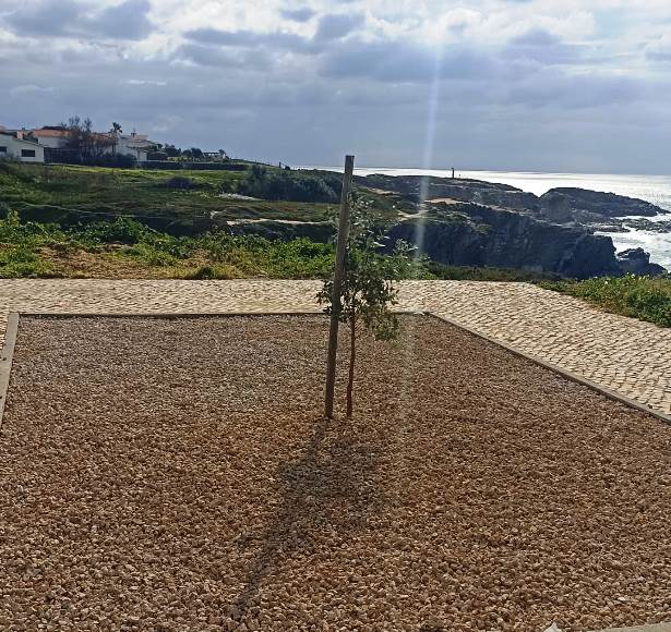 Melhorias no estacionamento da Praia Grande